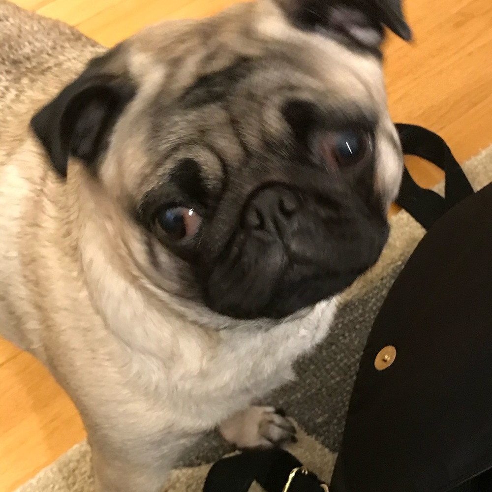 Meet your Posher, Lynn